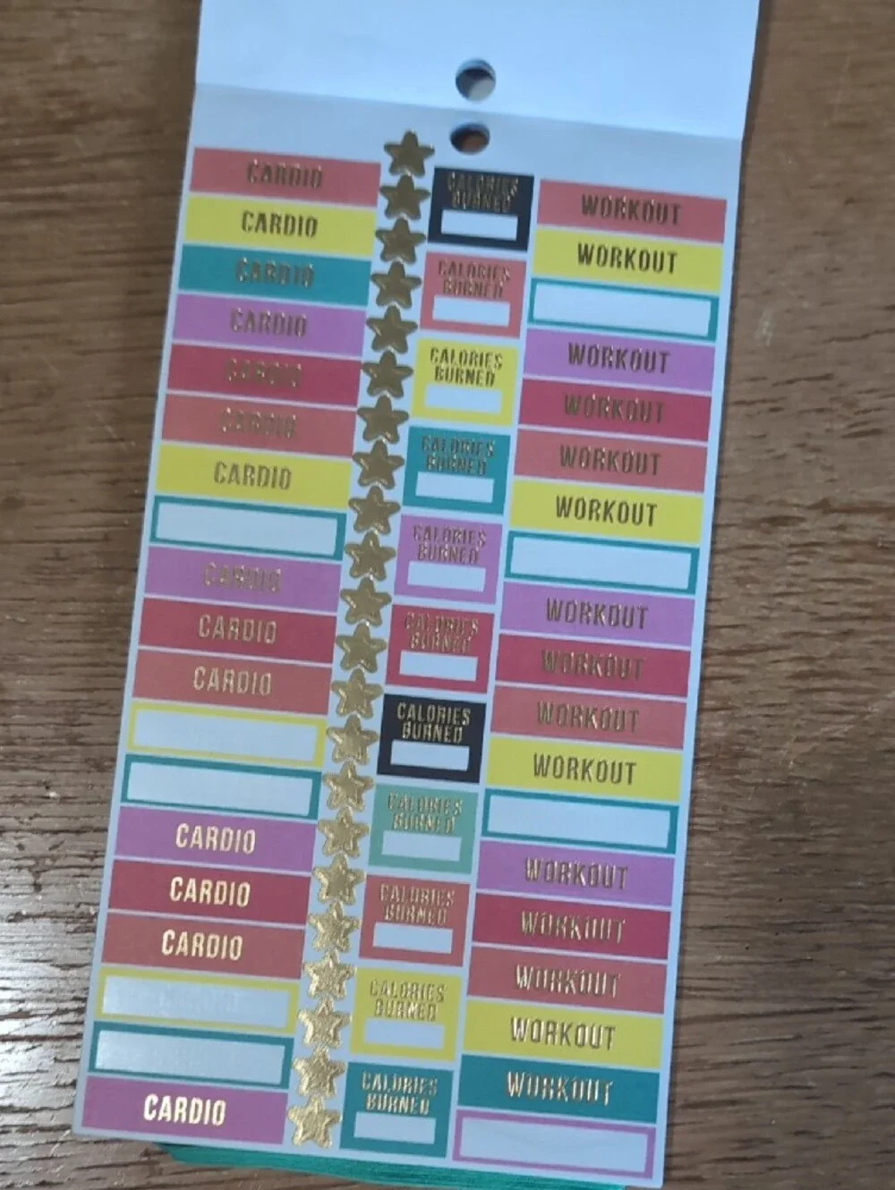 The Happy Planner Fitness Sticker Pack - Green, Teal, Pink, Black
